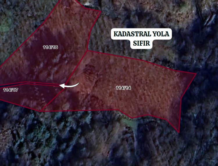 ZONGULDAK EREĞLİ ABDİ KÖYÜ’NDE 2.998 M²  FINDIKLIK SATILIKTIR - ZONGULDAK EREĞLİ fotoğraf 4